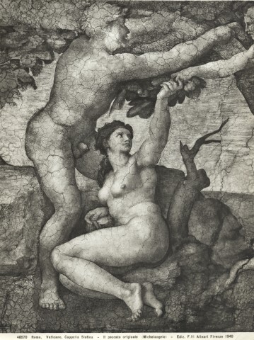 Alinari, Fratelli — Roma. Vaticano, Cappella Sistina - Il peccato originale (Michelangelo) — particolare